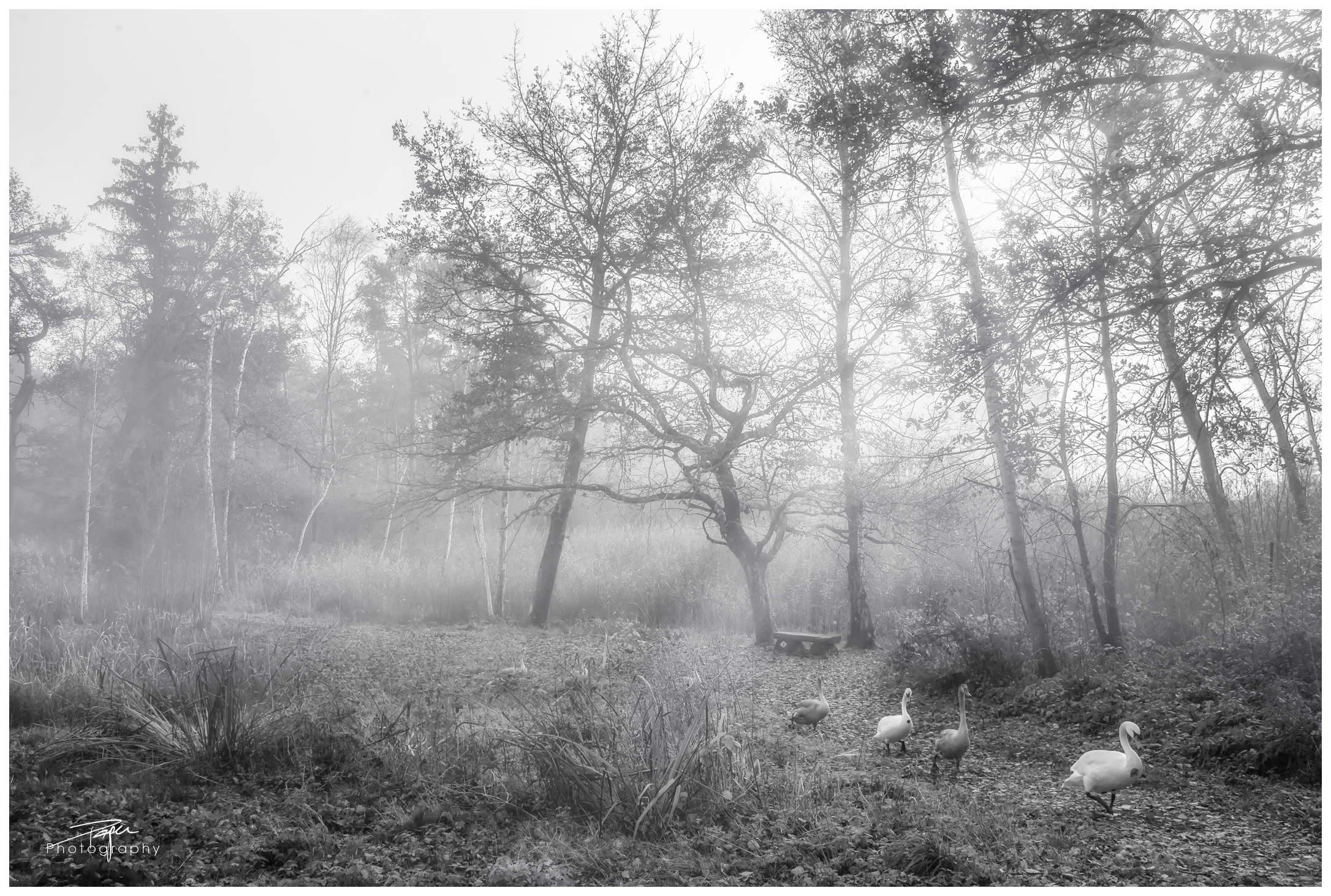 12.11.2021 - Moos-Düdingen